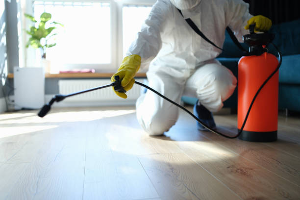 Reliable Odor Removal contractor in New Haven, CT by Trauma Clean Pros